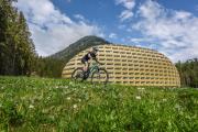 Top Davos