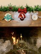 Top Casale Marittimo