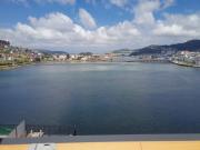 Top Viveiro