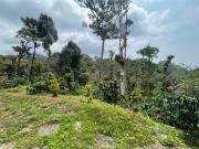 Top Madikeri