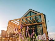 Top Sasino Top Sasino