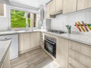 Top Puerto Velero Top Puerto Velero