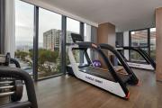 Top Dongguan
