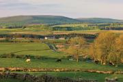 Top Tebay