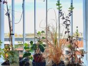 Top Wrocław Top Wrocław