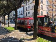 Domus Narciso Gallery