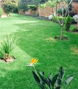 Top Cochabamba