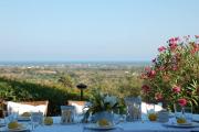 Finca Casa Rubi with Pool and ocean view