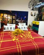 Top Saint-Jean-de-Losne