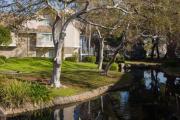 Top Sunnyvale
