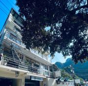 Alocasia Inn - El Nido