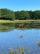 Top Egmond aan den Hoef