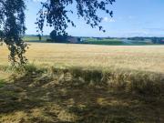 Top Ystad