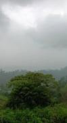 Top Coonoor