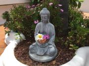 Top Icod de los Vinos