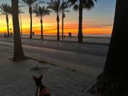 Dúplex junto a la playa