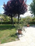 Top Incisa Scapaccino