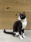 Top El Paredón Buena Vista