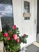 Top Lamarche-sur-Saône