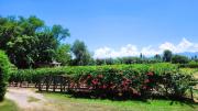 Top Maipú