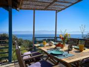 Top Koroni Top Koroni