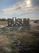 1-Raum-Apartment Seagull Seemöwe