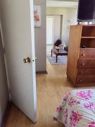 Top Viña del Mar Top Viña del Mar