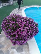 Top Santa Maria di Licodia