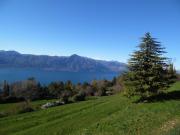 Top San Zeno di Montagna