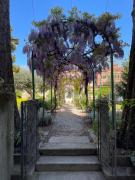 Top Venice