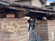 Top Morano Madonnuccia