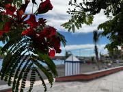 Magnificent and New apartment in Playa San Juan