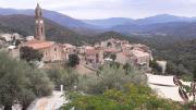 Top Moltifao