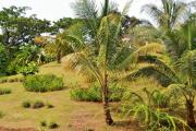 Top Bocas del Toro