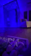 Top Palermo Top Palermo