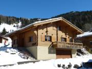 Chalet lumineux 8-9 pers, proche pistes, garage, WIFI - FR-1-304-248