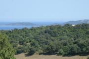 Top Porto-Vecchio