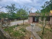 Top Brancorsi Top Brancorsi