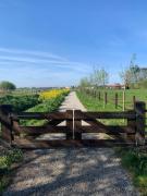 Fields 1216