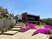 Top Valle de Guadalupe