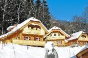 Chalet in Wildkogel near Ski Slopes & Pool