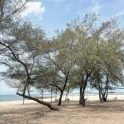 Top Rayong