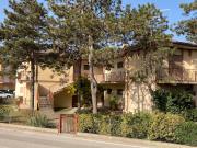 Top Rosolina Mare Top Rosolina Mare