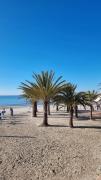 Top Santa Pola