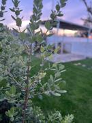 Top Savelletri di Fasano