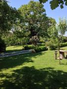 Top Seggiano Top Seggiano