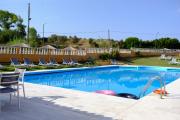 Top Arillas