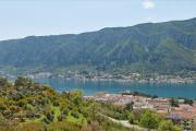 Top Kotor