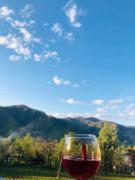 Guest House in the mountaims Gocha