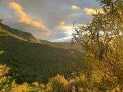 Top Castello-di-Rostino